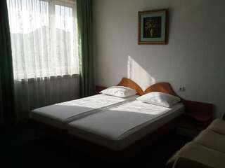 Мотели Motel Monza Благоевград Двухместный номер с 1 кроватью-2