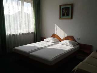 Мотели Motel Monza Благоевград Двухместный номер с 1 кроватью-6